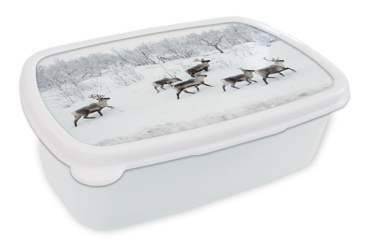 MuchoWow Lunchbox Rentier - Schnee - Wald - Winter, Kunststoff, (2-tlg), Brotbox für Kinder und Erwachsene, Brotdose, für Jungs und Mädchen von MuchoWow