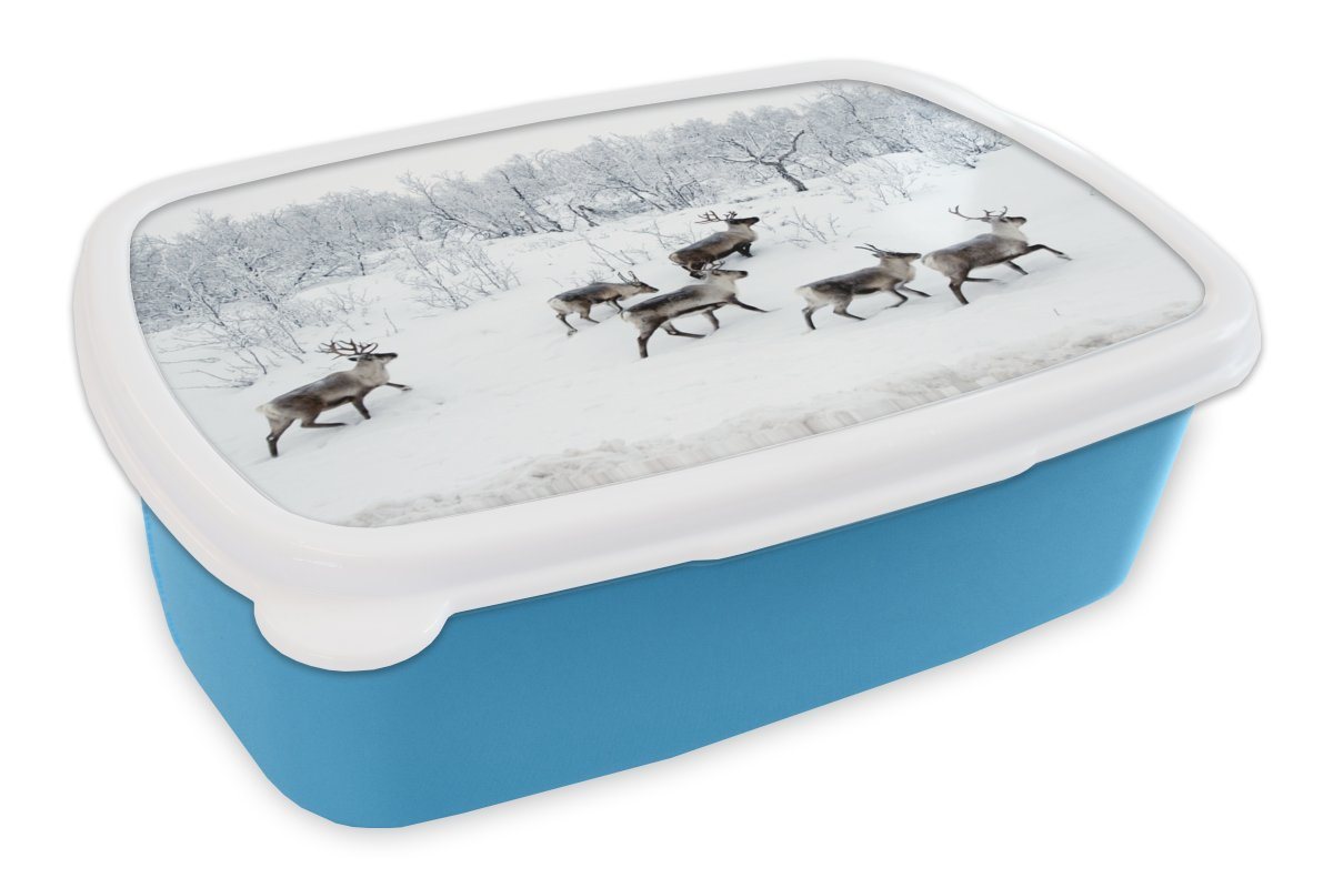 MuchoWow Lunchbox Rentier - Schnee - Wald - Winter, Kunststoff, (2-tlg), Brotdose für kindergarten, Vesperbox, Snackbox, Brotbox, Jungen von MuchoWow