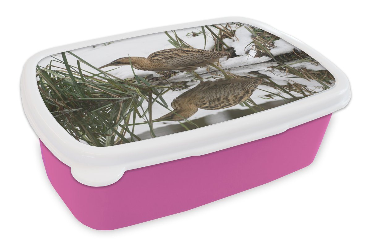 MuchoWow Lunchbox Rohrdommel auf der Jagd im Wasser, Kunststoff, (2-tlg), Brotbox für Erwachsene, Brotdose Kinder, Snackbox, Mädchen, Kunststoff von MuchoWow