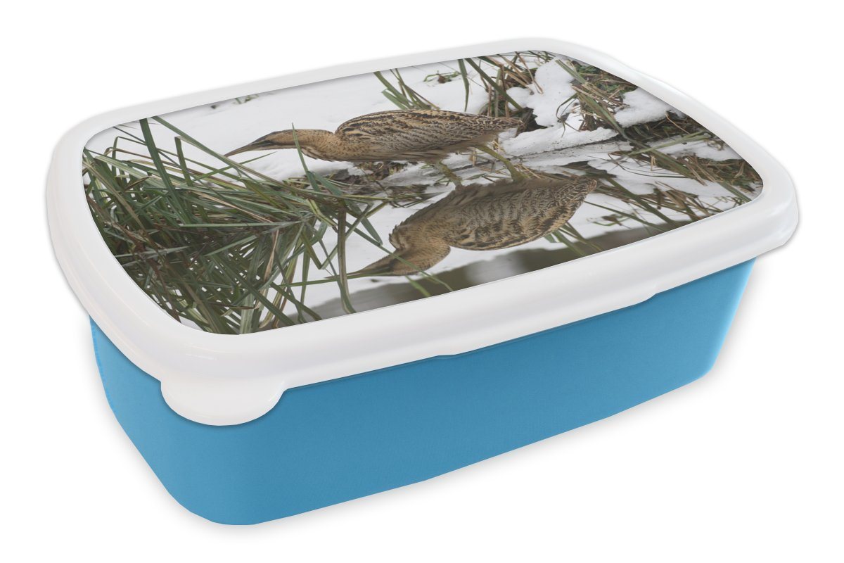 MuchoWow Lunchbox Rohrdommel auf der Jagd im Wasser, Kunststoff, (2-tlg), Brotdose für kindergarten, Vesperbox, Snackbox, Brotbox, Jungen von MuchoWow