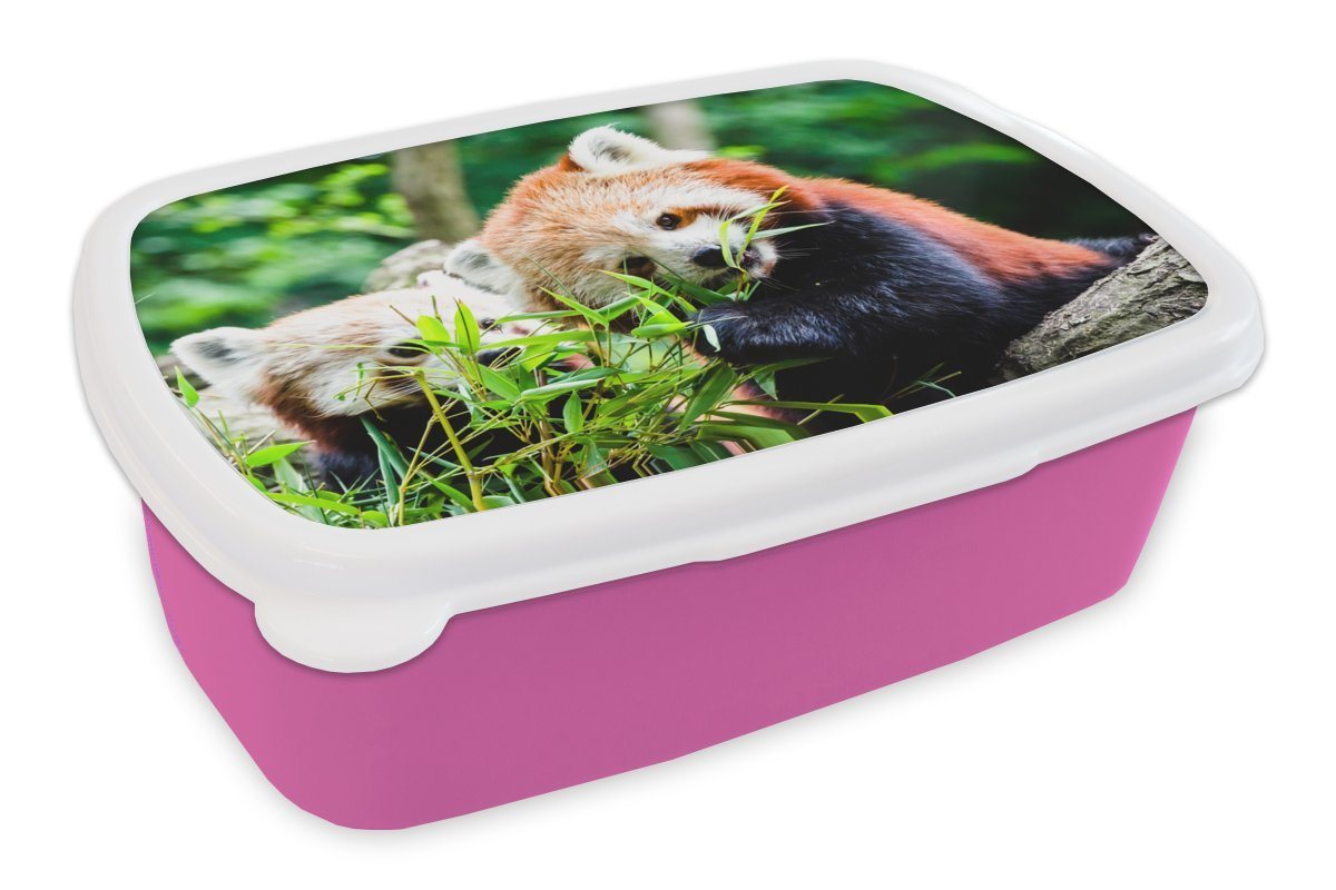 MuchoWow Lunchbox Roter Panda - Pflanzen - Baumstamm, Kunststoff, (2-tlg), Brotbox für Erwachsene, Brotdose Kinder, Snackbox, Mädchen, Kunststoff von MuchoWow