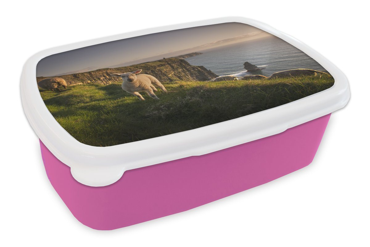 MuchoWow Lunchbox Schafe auf den Cliffs of Moher, Kunststoff, (2-tlg), Brotbox für Erwachsene, Brotdose Kinder, Snackbox, Mädchen, Kunststoff von MuchoWow