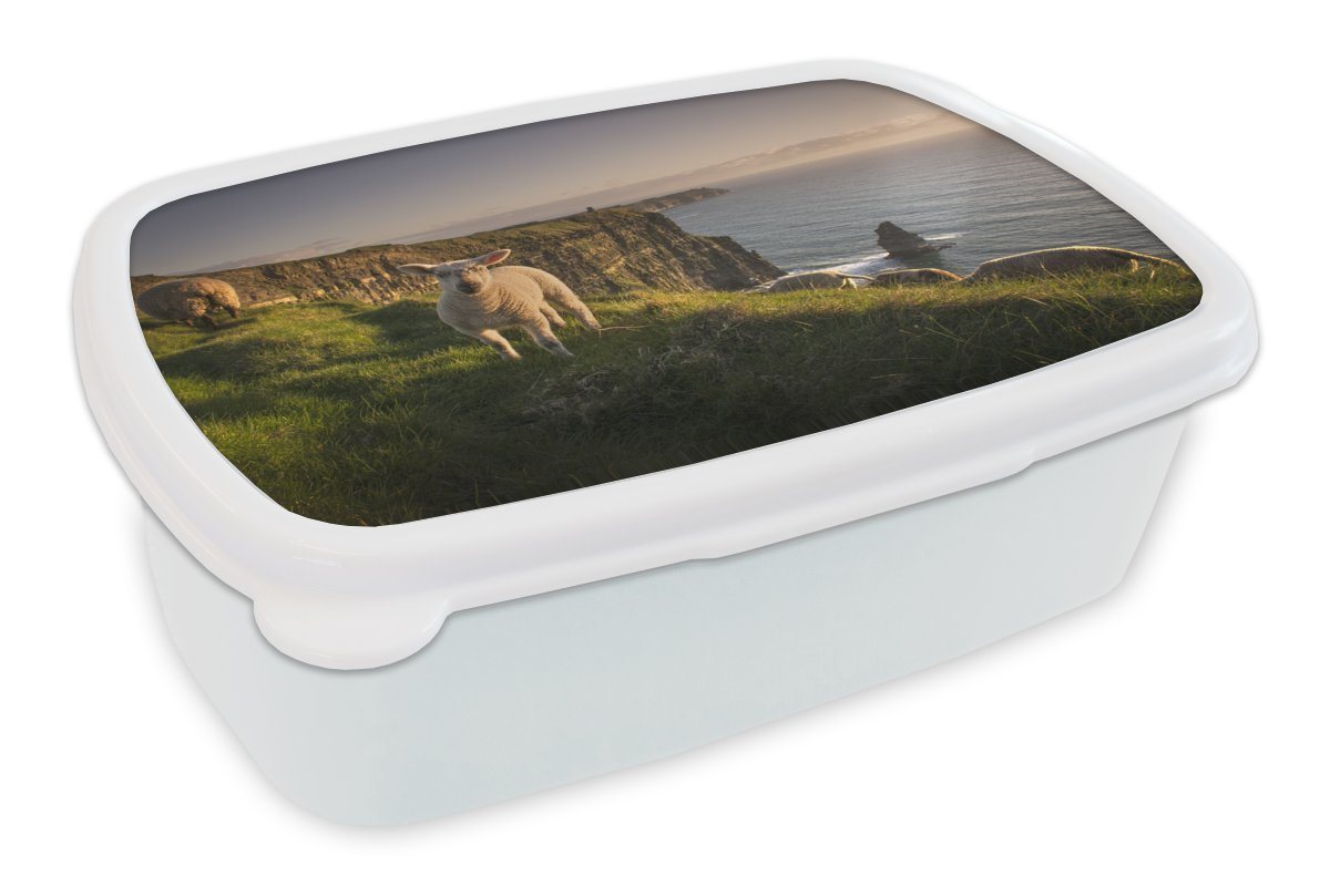MuchoWow Lunchbox Schafe auf den Cliffs of Moher, Kunststoff, (2-tlg), Brotbox für Kinder und Erwachsene, Brotdose, für Jungs und Mädchen von MuchoWow