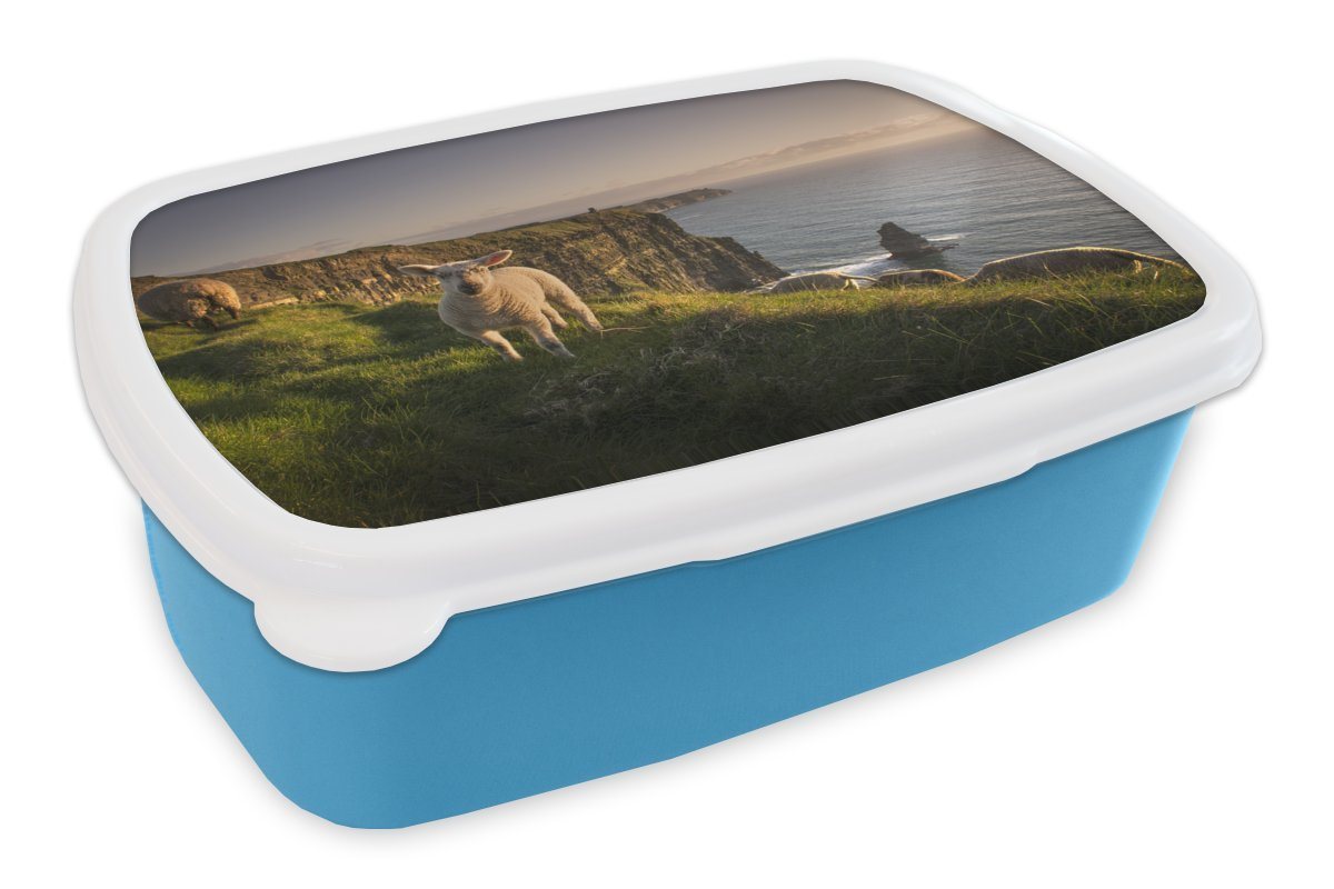 MuchoWow Lunchbox Schafe auf den Cliffs of Moher, Kunststoff, (2-tlg), Brotdose für kindergarten, Vesperbox, Snackbox, Brotbox, Jungen von MuchoWow
