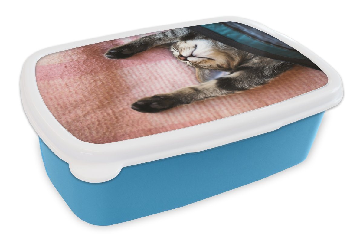 MuchoWow Lunchbox Schlafende Katze auf einem Teppich, Kunststoff, (2-tlg), Brotdose, Lunchbox, Brotbox für Kinder und Erwachsene MuchoWow Lunchbox Schlafende Katze auf einem Teppich, Kunststoff, (2-tlg), Brotdose, Lunchbox, Brotbox für Kinder und Erwachsene von MuchoWow