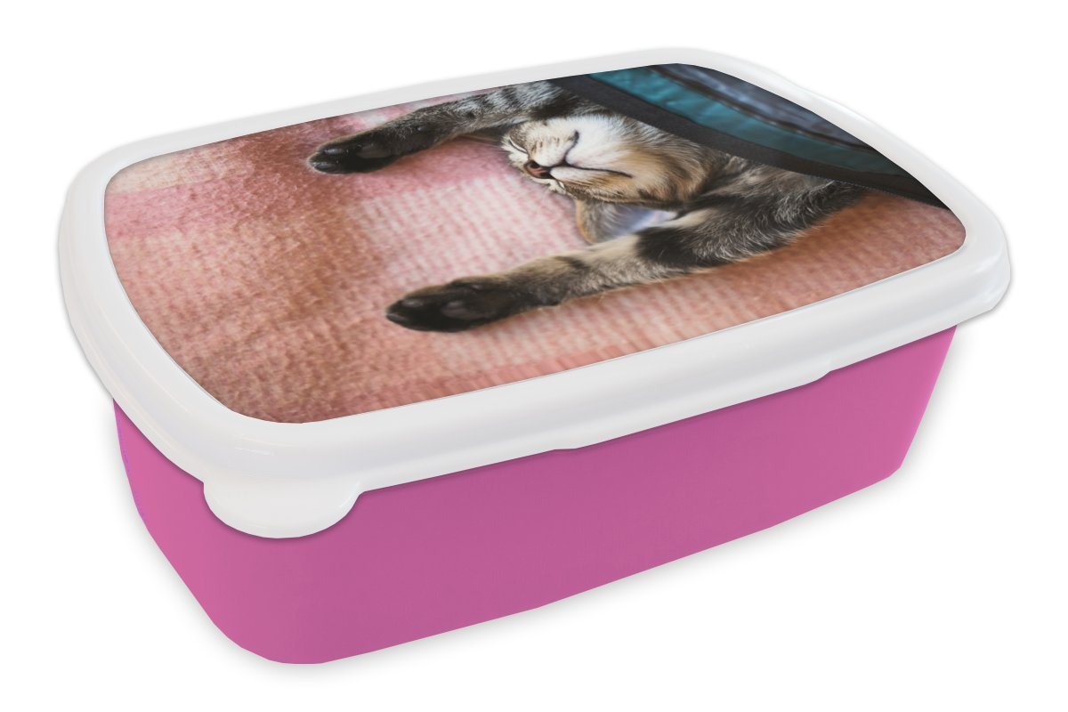 MuchoWow Lunchbox Schlafende Katze auf einem Teppich, Kunststoff, (2-tlg), Brotdosen, Lunch Box, Brotbox für Kinder und Erwachsene MuchoWow Lunchbox Schlafende Katze auf einem Teppich, Kunststoff, (2-tlg), Brotdosen, Lunch Box, Brotbox für Kinder und Erwachsene von MuchoWow