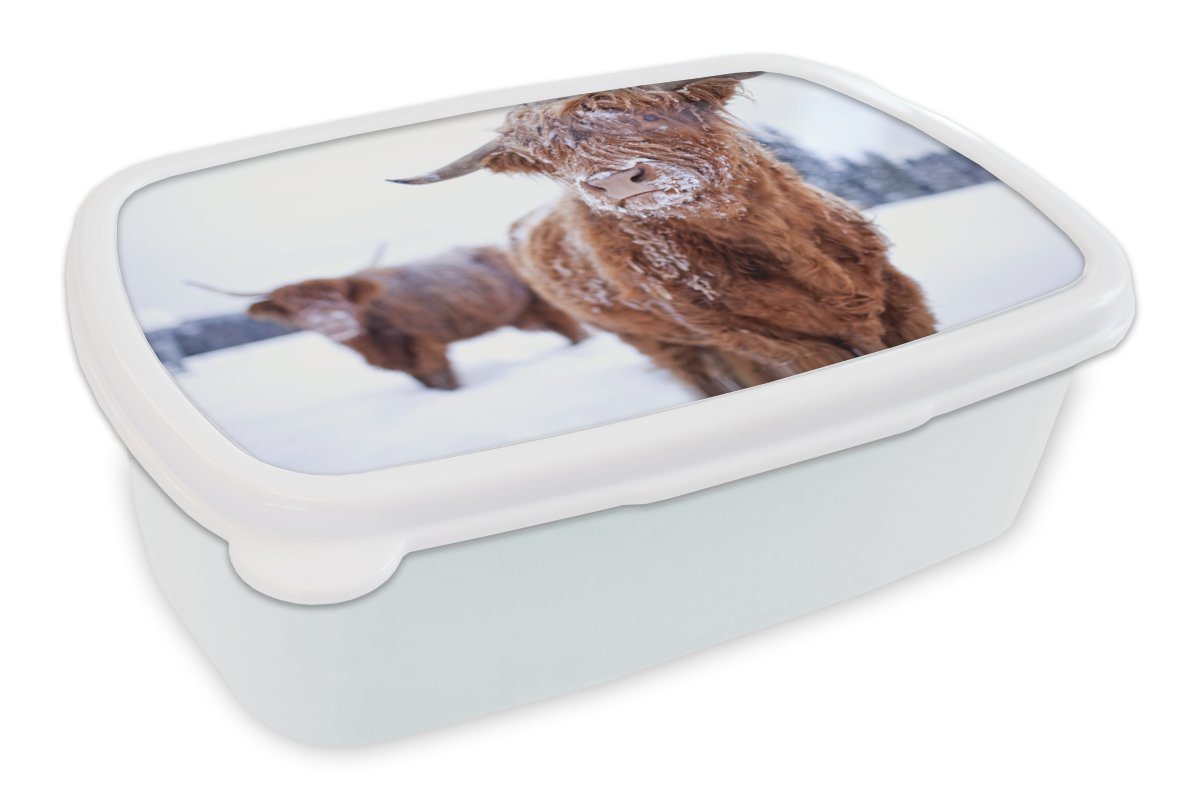 MuchoWow Lunchbox Schottischer Highlander - Schnee - Schneeflocke - Fell, Kunststoff, (2-tlg), Brotbox für Kinder und Erwachsene, Brotdose, für Jungs und Mädchen von MuchoWow