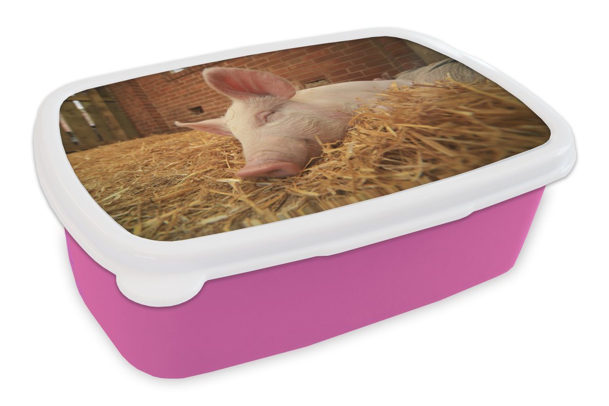 MuchoWow Lunchbox Schwein - Stroh - Tier, Kunststoff, (2-tlg), Brotbox für Erwachsene, Brotdose Kinder, Snackbox, Mädchen, Kunststoff von MuchoWow