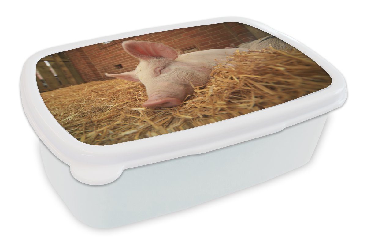 MuchoWow Lunchbox Schwein - Stroh - Tier, Kunststoff, (2-tlg), Brotbox für Kinder und Erwachsene, Brotdose, für Jungs und Mädchen von MuchoWow