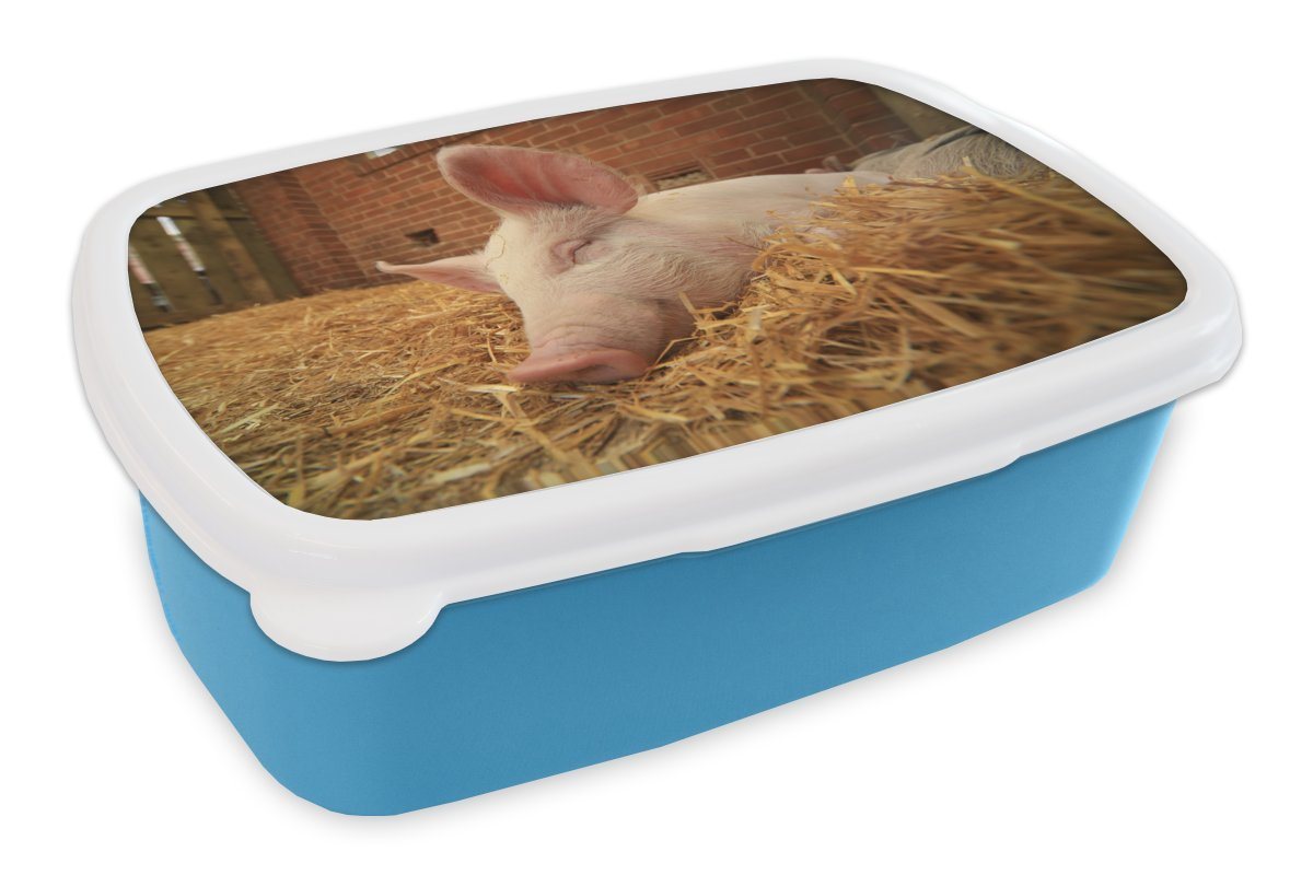 MuchoWow Lunchbox Schwein - Stroh - Tier, Kunststoff, (2-tlg), Brotdose für kindergarten, Vesperbox, Snackbox, Brotbox, Jungen von MuchoWow