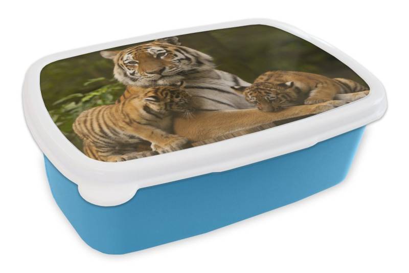 MuchoWow Lunchbox Tiger - Jungtiere - Natur, Kunststoff, (2-tlg), Brotdose, Lunchbox, Brotbox für Kinder und Erwachsene von MuchoWow