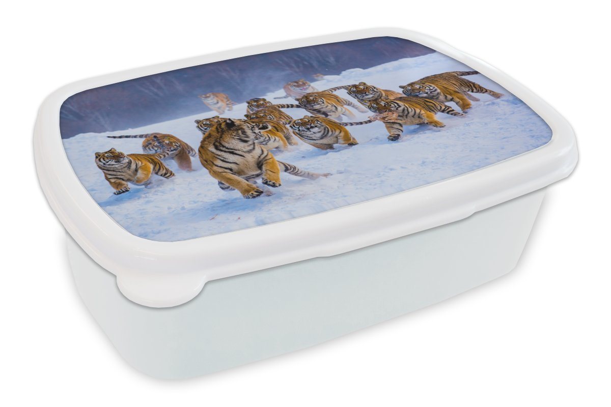 MuchoWow Lunchbox Tiger - Schnee - Wilde Tiere - Winter, Kunststoff, (2-tlg), Brotbox für Kinder und Erwachsene, Brotdose, für Jungs und Mädchen von MuchoWow