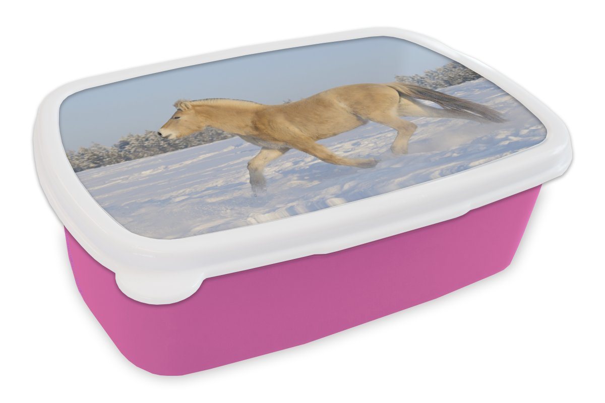 MuchoWow Lunchbox Trabendes Fjordpferd im Schnee, Kunststoff, (2-tlg), Brotbox für Erwachsene, Brotdose Kinder, Snackbox, Mädchen, Kunststoff von MuchoWow