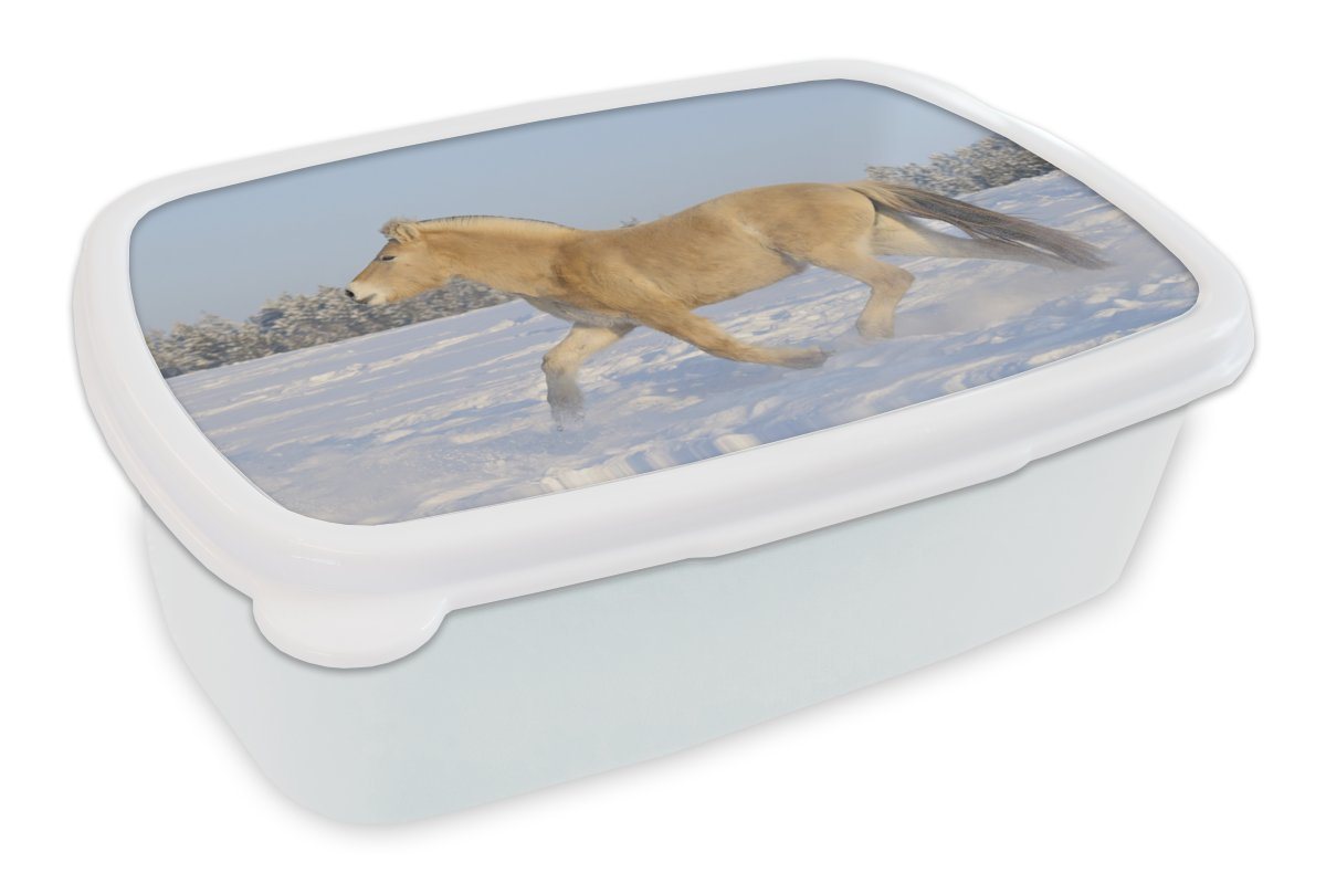 MuchoWow Lunchbox Trabendes Fjordpferd im Schnee, Kunststoff, (2-tlg), Brotbox für Kinder und Erwachsene, Brotdose, für Jungs und Mädchen von MuchoWow