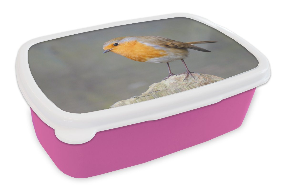 MuchoWow Lunchbox Vogel - Rotkehlchen - Felsen, Kunststoff, (2-tlg), Brotbox für Erwachsene, Brotdose Kinder, Snackbox, Mädchen, Kunststoff von MuchoWow