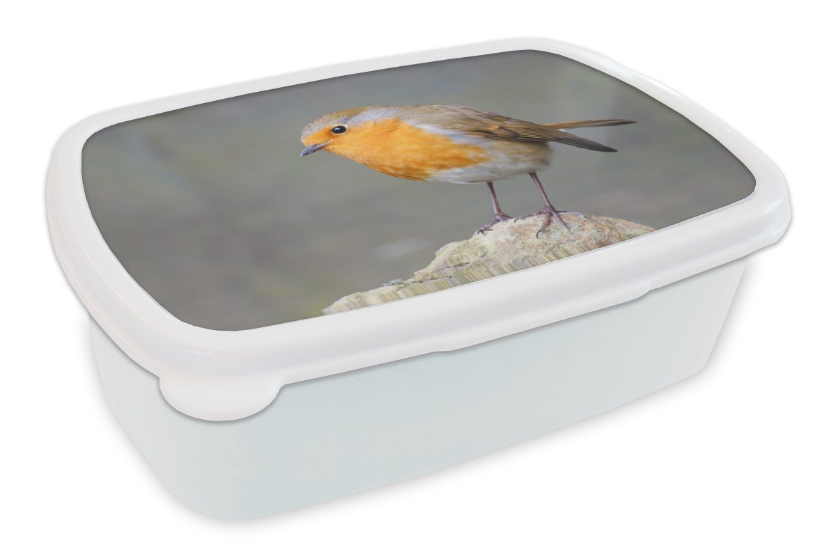 MuchoWow Lunchbox Vogel - Rotkehlchen - Felsen, Kunststoff, (2-tlg), Brotbox für Kinder und Erwachsene, Brotdose, für Jungs und Mädchen von MuchoWow