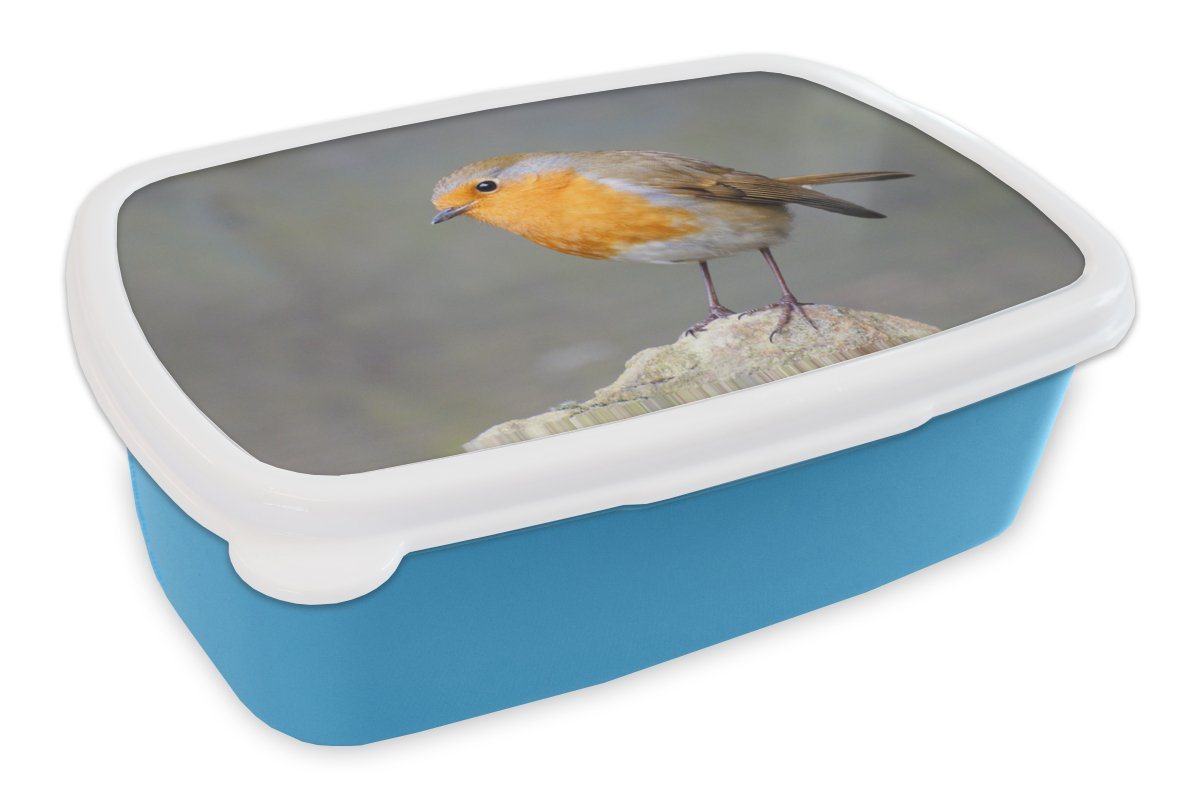 MuchoWow Lunchbox Vogel - Rotkehlchen - Felsen, Kunststoff, (2-tlg), Brotdose für kindergarten, Vesperbox, Snackbox, Brotbox, Jungen von MuchoWow