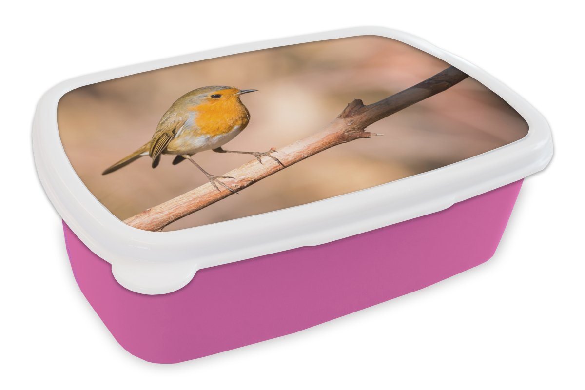 MuchoWow Lunchbox Vogel - Zweig - Rotkehlchen, Kunststoff, (2-tlg), Brotbox für Erwachsene, Brotdose Kinder, Snackbox, Mädchen, Kunststoff von MuchoWow