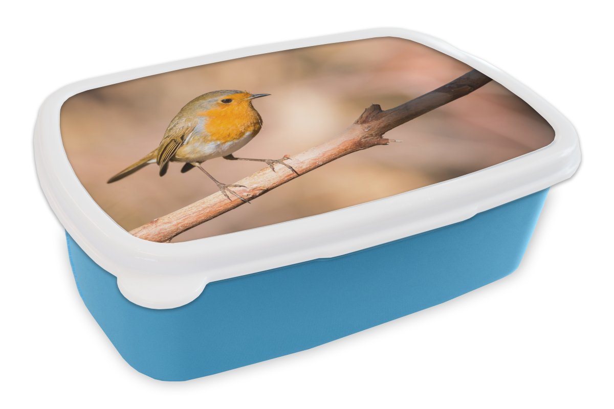 MuchoWow Lunchbox Vogel - Zweig - Rotkehlchen, Kunststoff, (2-tlg), Brotdose für kindergarten, Vesperbox, Snackbox, Brotbox, Jungen von MuchoWow
