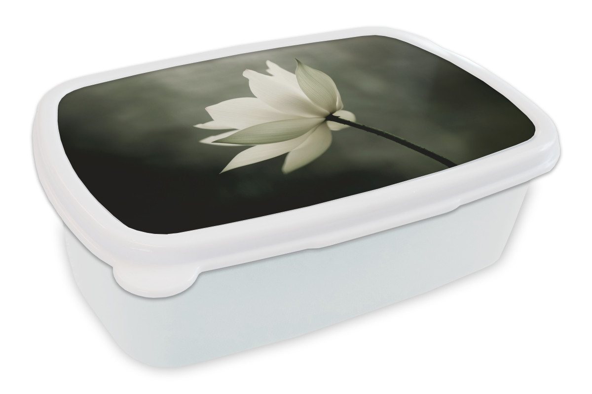 MuchoWow Lunchbox Weiß - Lotus - Dunkel - Blume, Kunststoff, (2-tlg), Brotdose Schule oder Arbeit, Brotbox für Kinder und Erwachsene von MuchoWow