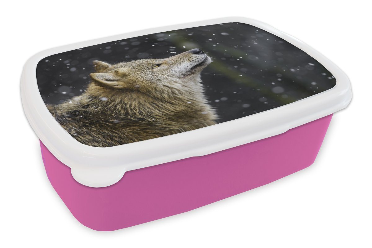 MuchoWow Lunchbox Wolf - Schnee - Braun, Kunststoff, (2-tlg), Brotbox für Erwachsene, Brotdose Kinder, Snackbox, Mädchen, Kunststoff von MuchoWow