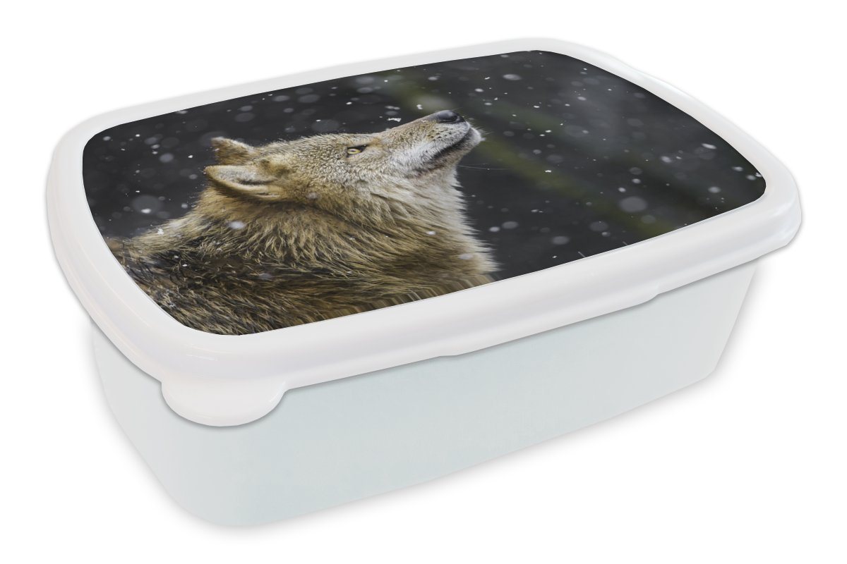 MuchoWow Lunchbox Wolf - Schnee - Braun, Kunststoff, (2-tlg), Brotbox für Kinder und Erwachsene, Brotdose, für Jungs und Mädchen von MuchoWow