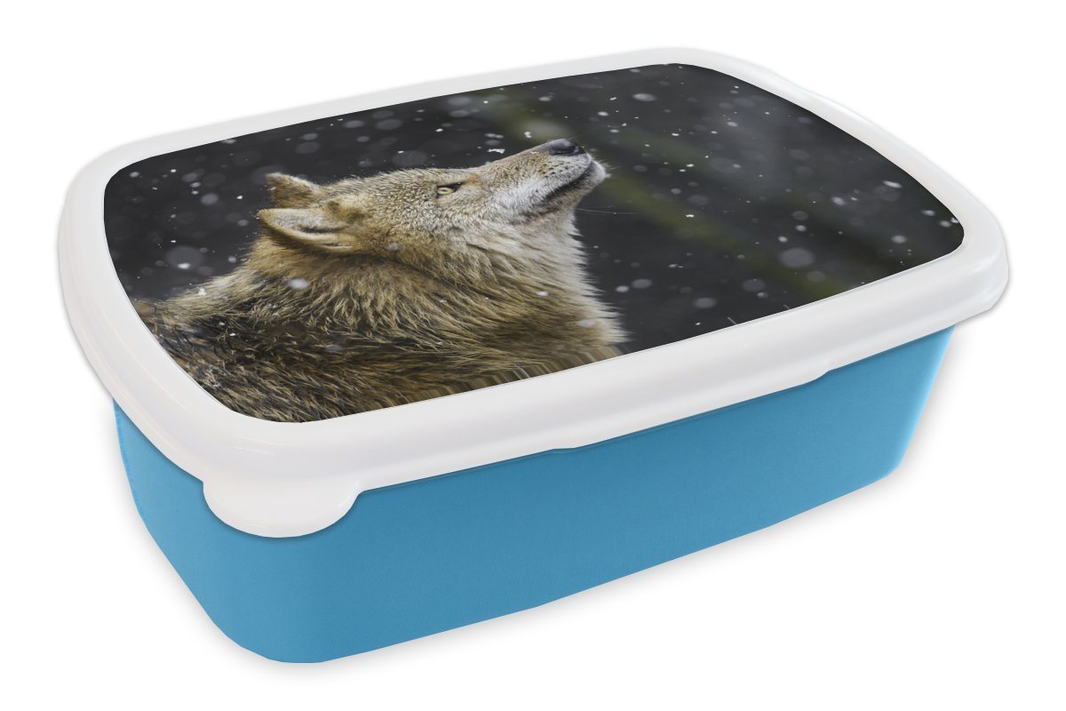 MuchoWow Lunchbox Wolf - Schnee - Braun, Kunststoff, (2-tlg), Brotdose für kindergarten, Vesperbox, Snackbox, Brotbox, Jungen von MuchoWow