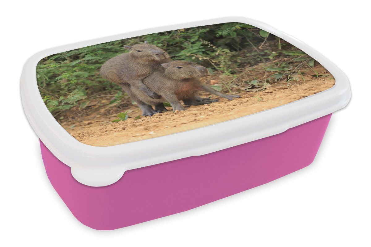 MuchoWow Lunchbox Zwei Capybara-Junge spielen miteinander, Kunststoff, (2-tlg), Brotbox für Erwachsene, Brotdose Kinder, Snackbox, Mädchen, Kunststoff von MuchoWow