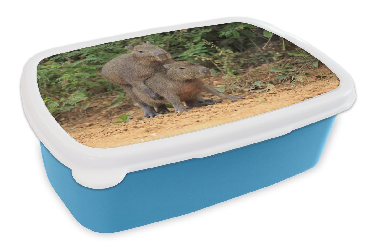 MuchoWow Lunchbox Zwei Capybara-Junge spielen miteinander, Kunststoff, (2-tlg), Brotdose für kindergarten, Vesperbox, Snackbox, Brotbox, Jungen von MuchoWow