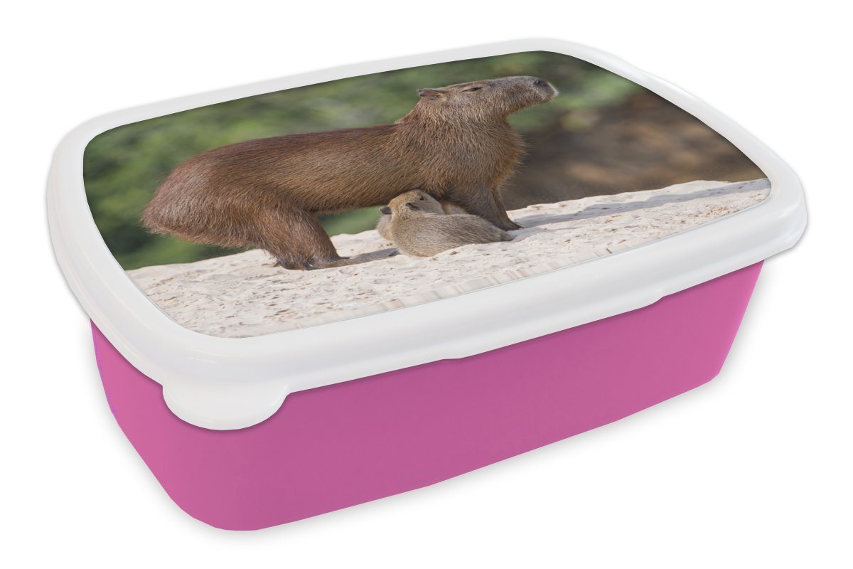 MuchoWow Lunchbox Zwei Wasserschweine füttern ihre Mutter auf einer Sandbank am Fluss, Kunststoff, (2-tlg), Brotbox für Erwachsene, Brotdose Kinder, Snackbox, Mädchen, Kunststoff von MuchoWow