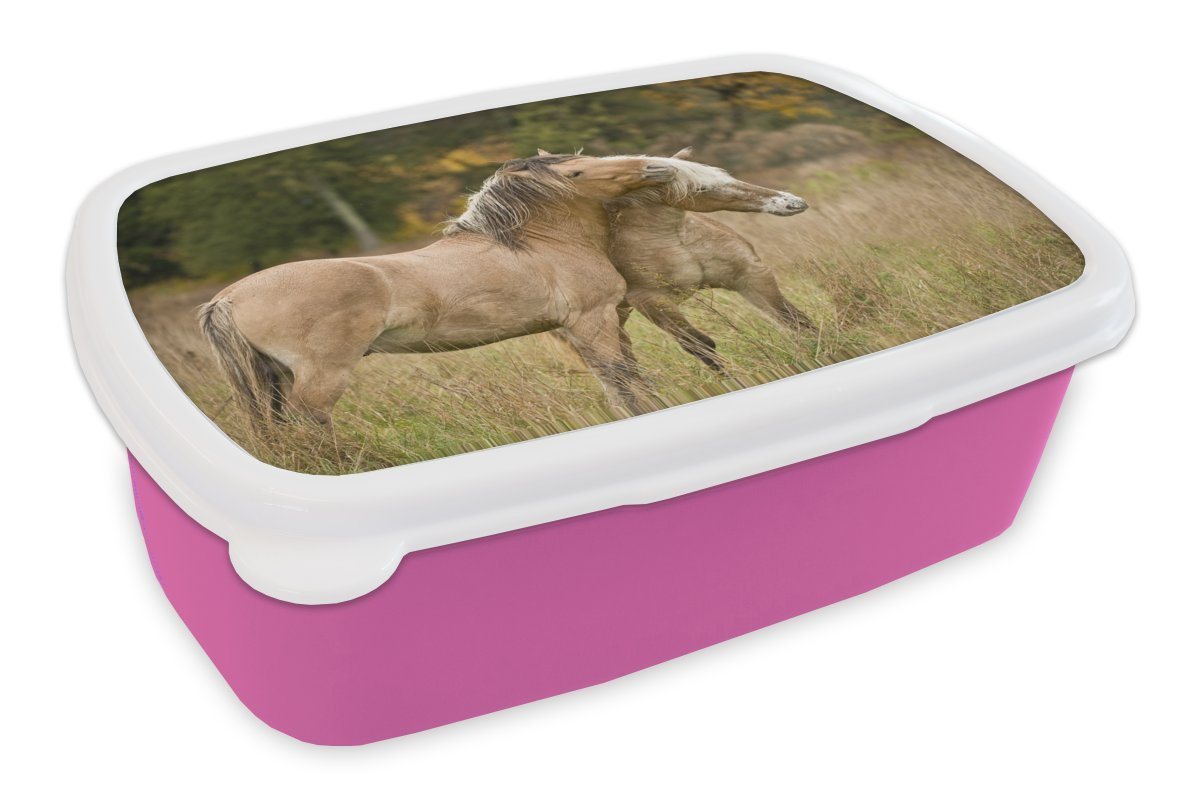 MuchoWow Lunchbox Zwei kuschelnde Fjordpferde im Herbst, Kunststoff, (2-tlg), Brotbox für Erwachsene, Brotdose Kinder, Snackbox, Mädchen, Kunststoff von MuchoWow