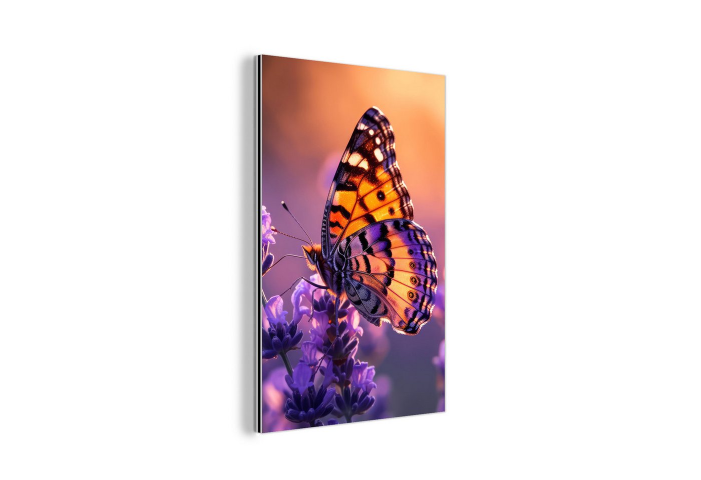 MuchoWow Metallbild Blumen - Schmetterling - Lavendel - Blume - Natur, (1 St), Alu-Dibond-Druck, Dekoration aus Metall, Aluminium deko, 20x30 cm von MuchoWow