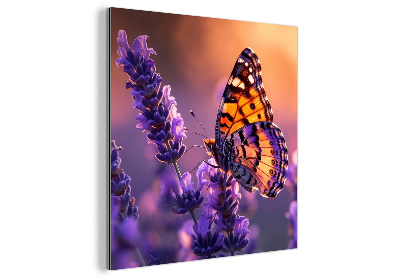 MuchoWow Metallbild Blumen - Schmetterling - Lavendel - Blume - Natur, Inkl. Aufhängung, Alu-Dibond-Druck, Wandbild aus Metall, Aluminium deko, 20x20 cm von MuchoWow