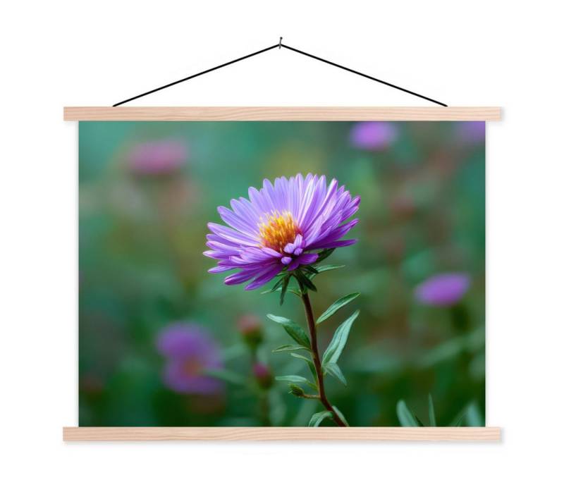 MuchoWow Poster Aster - Lila - Blume - Blütenblätter, (1 St), Posterleiste, Textilposter für Wohnzimmer, Bilderleiste, 40x30 cm von MuchoWow