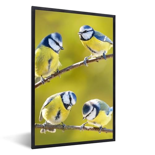 MuchoWow Poster Bilder Wanddeko Deko Wohnzimmer 20x30 cm Vogel - Blaumeise - Äste - Sonne von MuchoWow