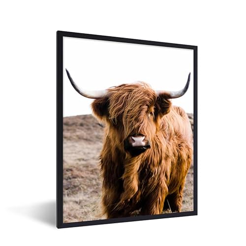 MuchoWow Poster Bilder Wanddeko Deko Wohnzimmer 30x40 cm Schottische Highlander - Landschaft - Kuh - Braun - Tiere - Natur von MuchoWow