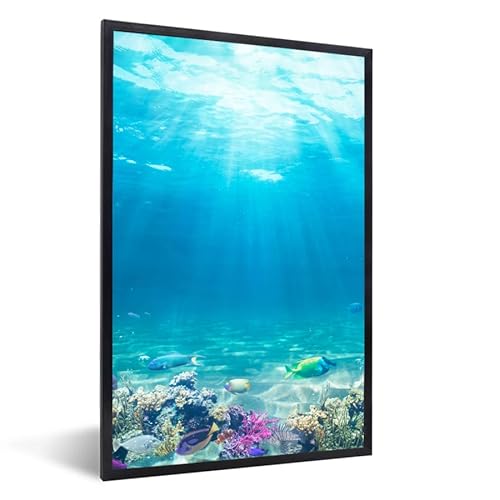 MuchoWow Poster Bilder Wanddeko Deko Wohnzimmer 80x120 cm Unterwasserwelt - Meerestiere - Wasser - Korallen - Blau von MuchoWow