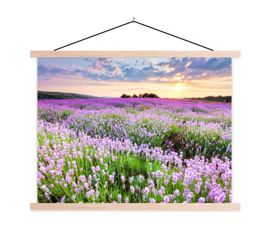 MuchoWow Poster Blumen - Lavendel - Lila - Himmel - Sonnenuntergang - Wiese - Natur, (1 St), Posterleiste, Textilposter für Wohnzimmer, Bilderleiste, 40x30 cm von MuchoWow