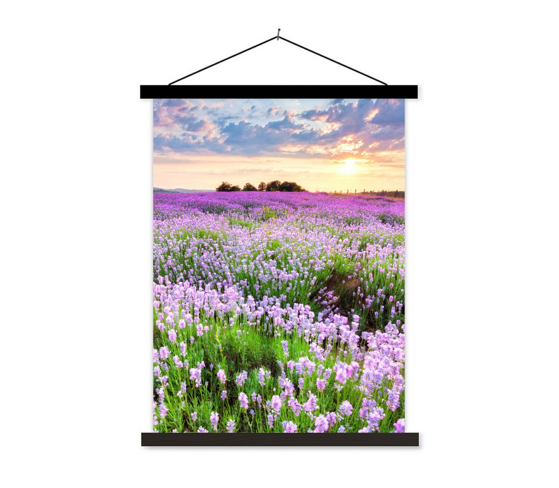 MuchoWow Poster Blumen - Lavendel - Lila - Himmel - Sonnenuntergang - Wiese - Natur MuchoWow Poster Blumen - Lavendel - Lila - Himmel - Sonnenuntergang - Wiese - Natur von MuchoWow
