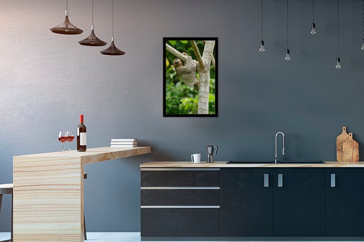 MuchoWow Poster Ein Faultier hängt an einem Ast, (1 St), Bilderrahmen, Wanddeko für Wohnzimmer, 40x60 cm von MuchoWow