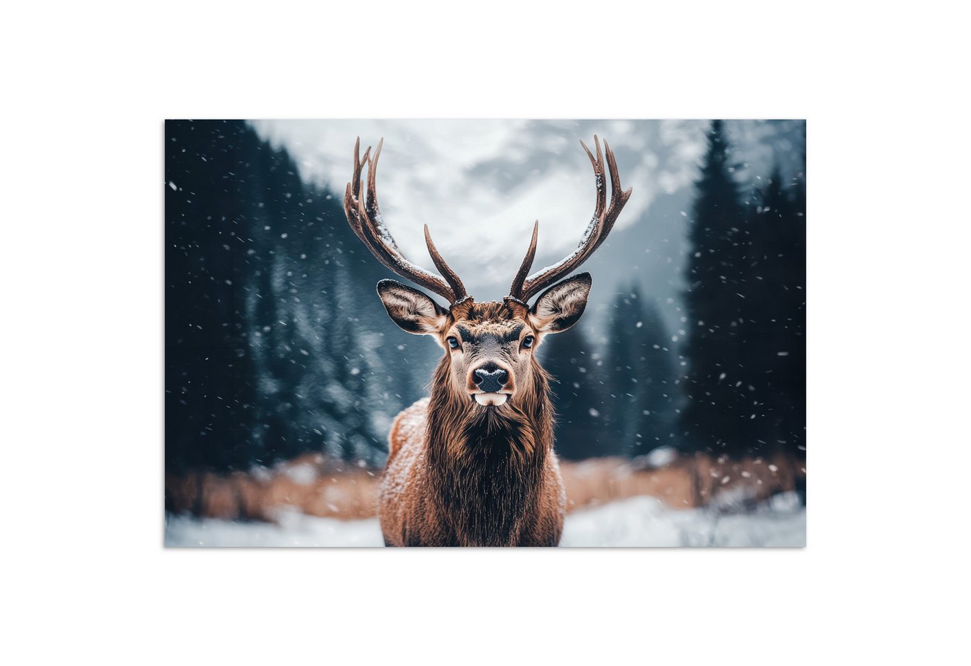 MuchoWow Poster Hirsche - Tiere - Landschaft - Winter - Schnee, (1 St), Poster ohne Rahmen, Wandbild, Wandposter, 20x30 cm von MuchoWow