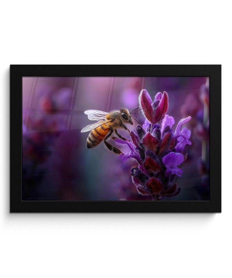 MuchoWow Poster Honigbiene - Lila Blumen - Details, (1 St), Wandbilder, Deko Wohnzimmer Schlafzimmer, 30x20 cm von MuchoWow