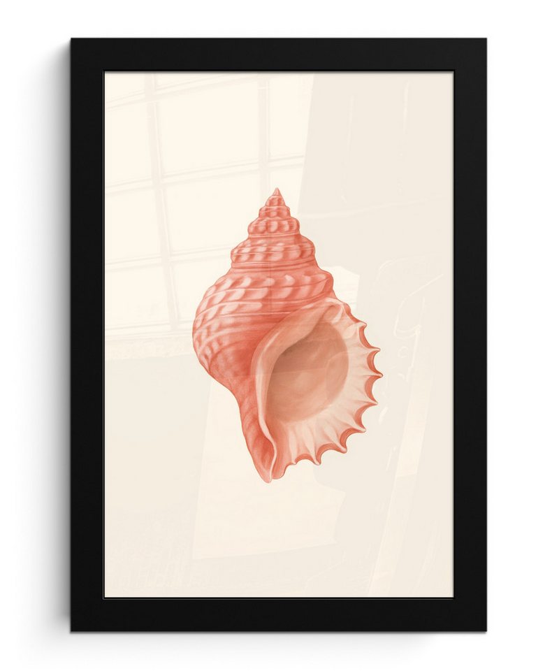 MuchoWow Poster Muschel - Rosa - Textur, (1 St), Bilderrahmen, Zimmer Deko, Bild für Wohnzimmer, 20x30 cm von MuchoWow