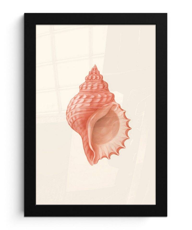 MuchoWow Poster Muschel - Rosa - Textur, (1 St), Bilderrahmen, Zimmer Deko, Bild für Wohnzimmer, 20x30 cm von MuchoWow