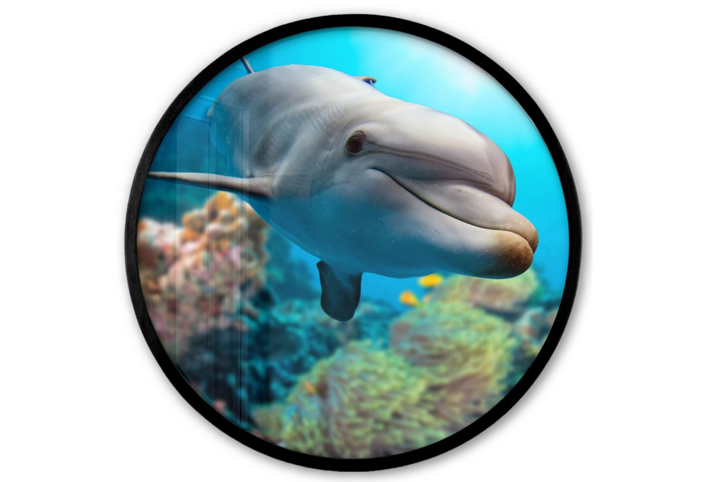MuchoWow Poster Rund - Delfin - Meer - Koralle, (1 St), Runde Wandbilder, Deko für Wohnzimmer und Schlafzimmer, 40x40 cm von MuchoWow