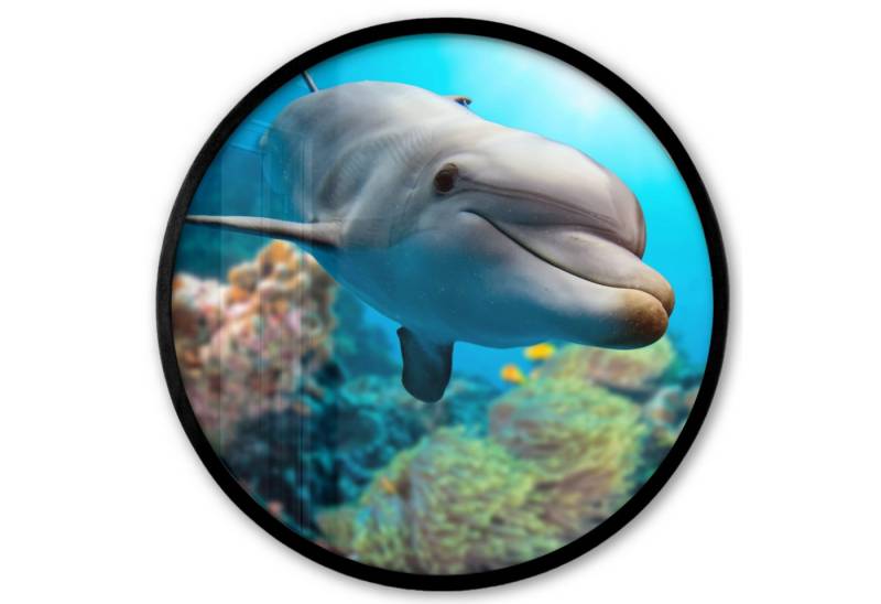 MuchoWow Poster Rund - Delfin - Meer - Koralle, (1 St), Runde Wandbilder, Deko für Wohnzimmer und Schlafzimmer, 40x40 cm von MuchoWow