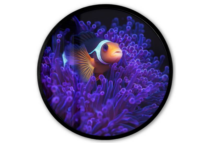 MuchoWow Poster Rund - Koralle - Fisch - Orange - Meer, (1 St), Runde Wandbilder, Deko für Wohnzimmer und Schlafzimmer, 40x40 cm von MuchoWow