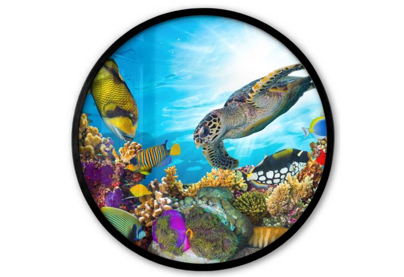 MuchoWow Poster Rund - Schildkröte - Meer - Koralle, (1 St), Runde Wandbilder, Deko für Wohnzimmer und Schlafzimmer, 40x40 cm von MuchoWow