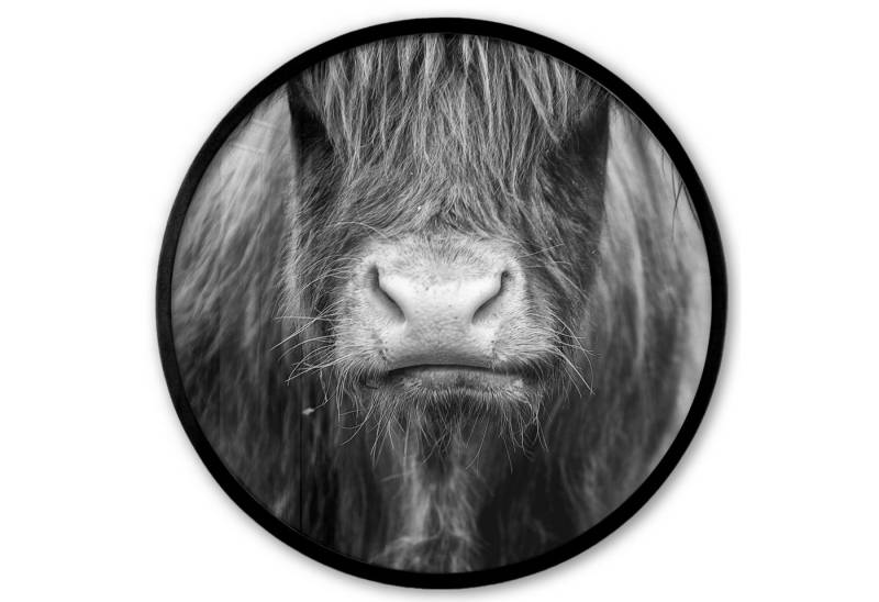 MuchoWow Poster Rund - Schottischer Highlander - Kuh - Schwarz - Weiß - Tiere, (1 St), Runde Wandbilder, Deko für Wohnzimmer und Schlafzimmer, 40x40 cm von MuchoWow