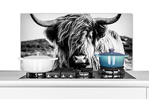 Spritzschutz Küche Küchenrückwand Alu Poster Bilder 100x50 cm Schottischer Highlander - Natur - Kuh - Schwarz - Weiß von MuchoWow